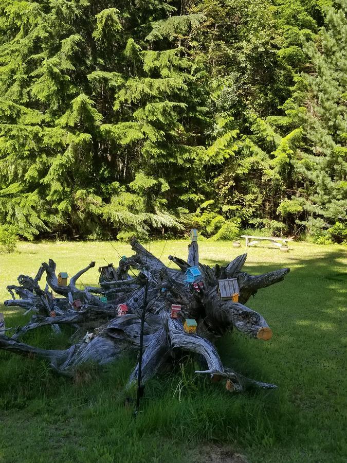 רבלסטוק Mulvehill Creek Wilderness Inn And Wedding Chapel מראה חיצוני תמונה